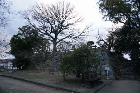 UKB02_018.jpg